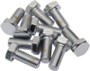 DRAG SPECIALTIES DS-190637 5/16-24 X 7/8 CHR HEX HD