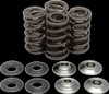 KIBBLEWHITE 60-60500 SPRING KIT .445"RMZ250