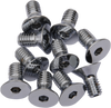 DRAG SPECIALTIES DS192298 3/8X16X3/4 COUNTR SUNK