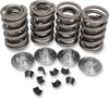 KIBBLEWHITE 20-20430 SPRING KIT VLV OE 48-65BT