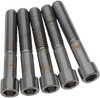 Drag Specialties DS192306 Bolts - Socket-Head/Repl - 5 Pack