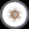 Custom Dynamics PB-UNV-FTS-AW-B Complete ProBeam Dynamic Ringz Turn Signal