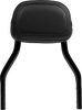 Cobra 02-8609B Sissy Bar - Mini - Black - Rebel 1100