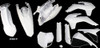 Acerbis 2314330002 White Plastic Kit