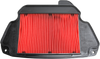 Hiflofiltro HFA1622 Replacement Air Filter - for Honda