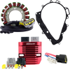 RM Stator RMS900-106902 Charging Kit with Mosfet Regulator - for Aprilia