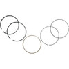 WSM 51-310-04 RING SET .25MM POL 300