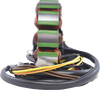 RM Stator RM01292 Stator - for Polaris