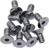 DS Countersunk Socket-Head Bolts 3/8"-16 x 1" Chrome 10-Pack