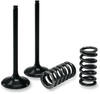 PROX 28.SIS1336-2 INTAKE VALVE/SPRING KIT
