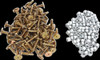Stud Boy 2166-P3 Power Point Studs w/ Locknuts - 1.375" - 96 Pk