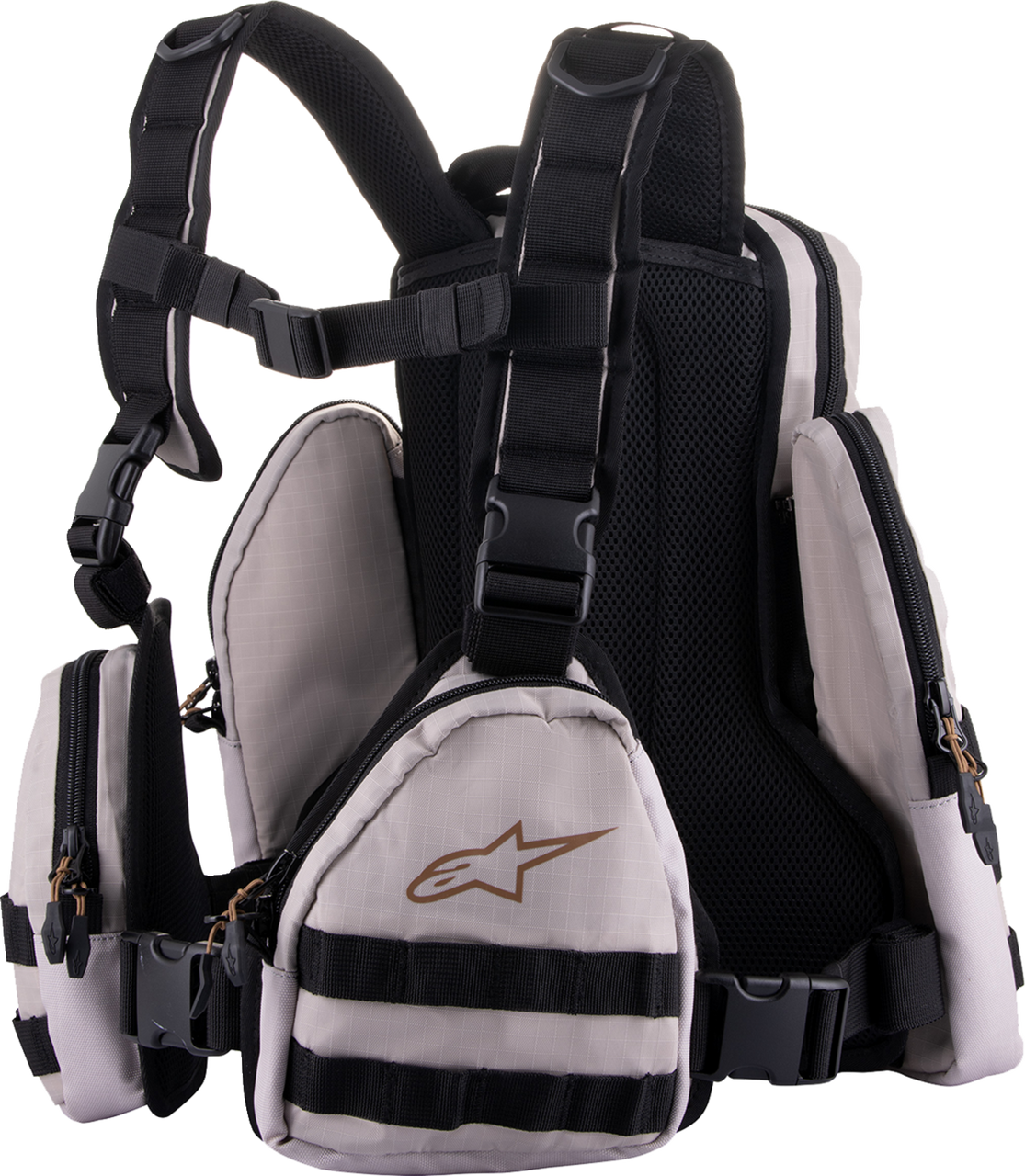 alpinestars laptop backpack AT-15 Back Pack 15 Backpack is a versatile 15L technical pack expandable to 18L Alpinestars GFX Boss Backpack |