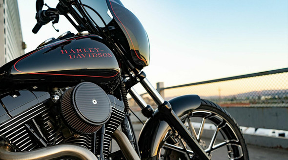 Arlen Ness Carbon Fiber Stage 1 Big Sucker Air Cleaner Kit 99-17 Harley Twin Cam