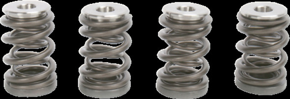 KIBBLEWHITE 96-96000 SPRING KIT FOR KTM 450/540