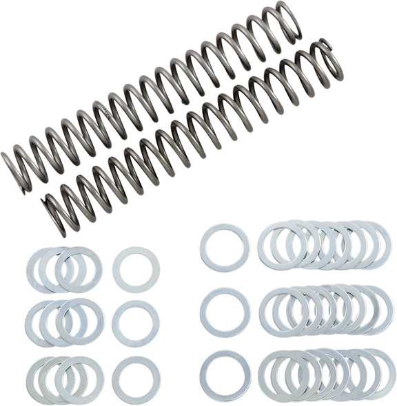 RACE TECH FRSP S3825110 SPRING FORK 1.10KG