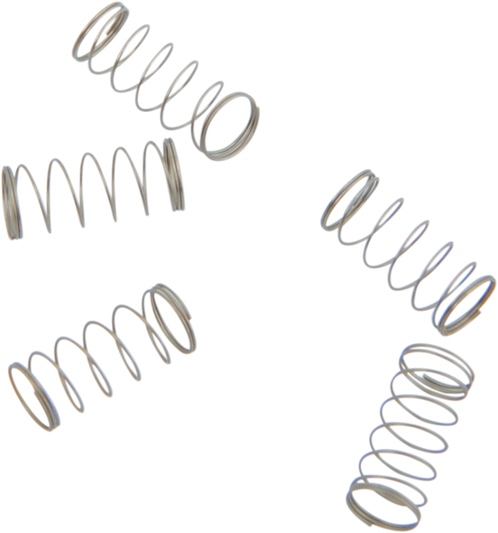 S&S Cycle 33909 Springs - Check Ball - 5 Pack
