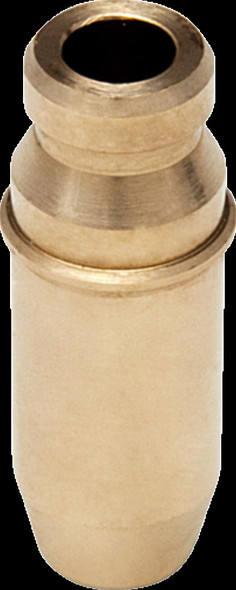 KIBBLEWHITE 60-60730 GUIDE VALVE STD RMZ450