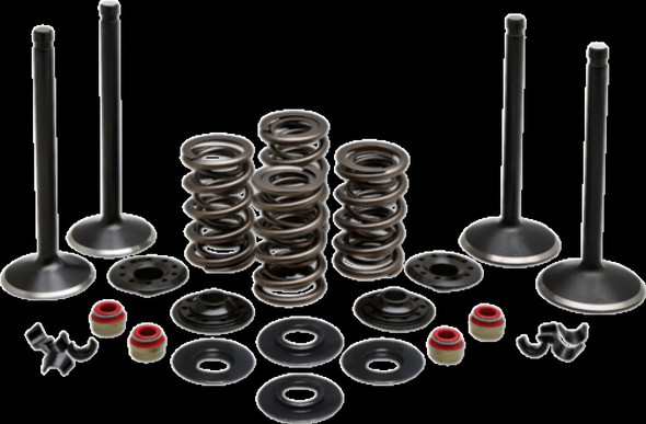 KIBBLEWHITE 20-23050 VALVE KT COMP 99-04TC 88"