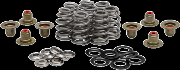 KIBBLEWHITE 20-21800 SPRING KIT BHIVE M8 .625"