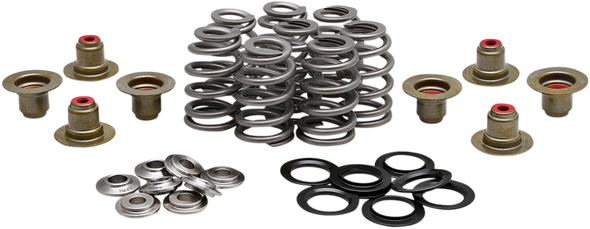 KIBBLEWHITE 20-21800 SPRING KIT BHIVE M8 .625"