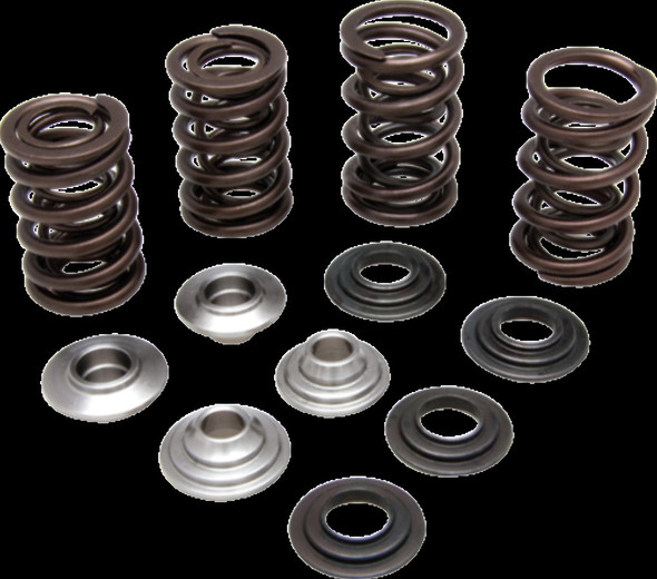 KIBBLEWHITE 60-60280 KIT VALVE SPRING LTR 450