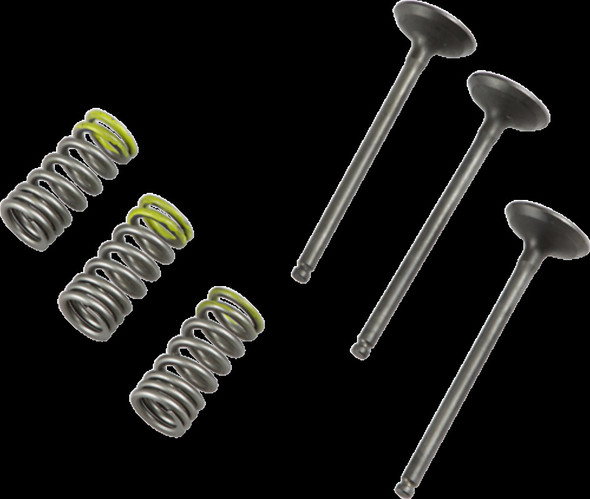 PROX 28.SIS2402-2 INTAKE VALVE/SPRING KIT
