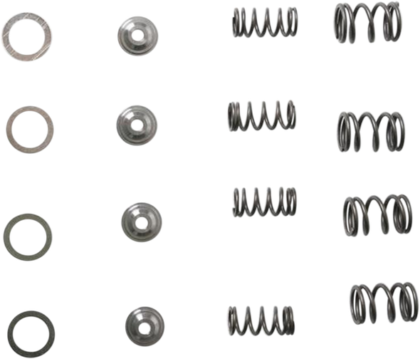 KIBBLEWHITE 30-3041 SPRING KIT TRX250X/300EX
