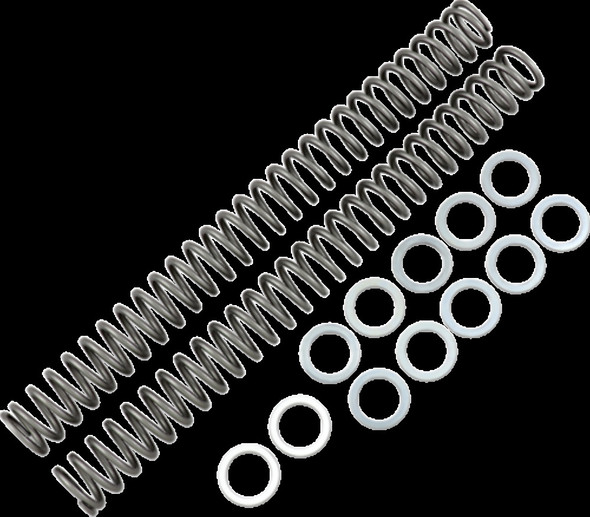 RACE TECH FRSP 434646 .46 KG/MM FORK SPRINGS