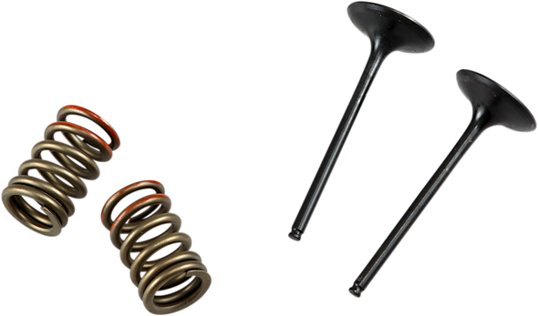 PROX 28.SIS4341-2 INTAKE VALVE/SPRING KIT