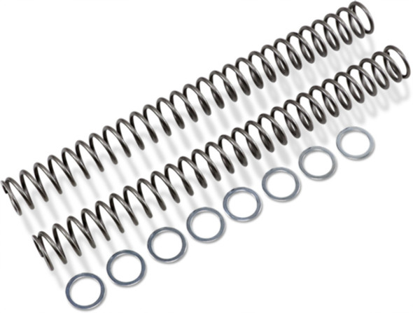 RACE TECH FRSP 454752 SPRINGS FORK HP .52KG