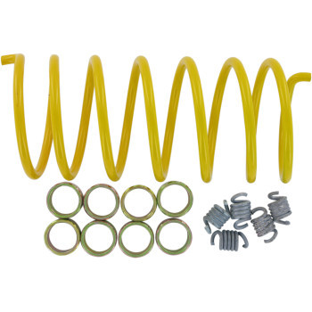 EPI WE490652 CLUTCH KIT ARCTIC