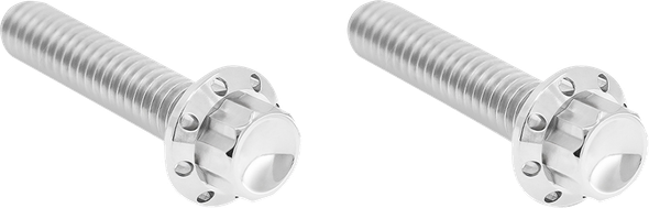 Arlen Ness 300-706 Bolt Kit - Titanium - 12-Point - M8/Twin Cam - Polished
