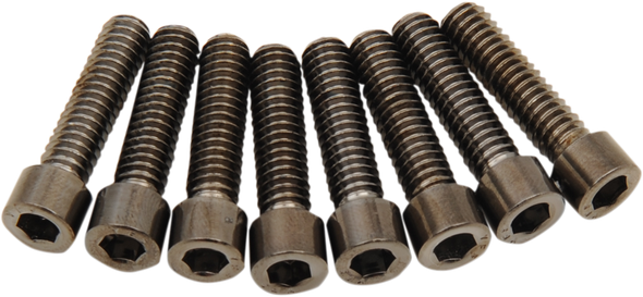DRAG SPECIALTIES 2401-1020 BOLT KIT M8 LIFTER B/C S