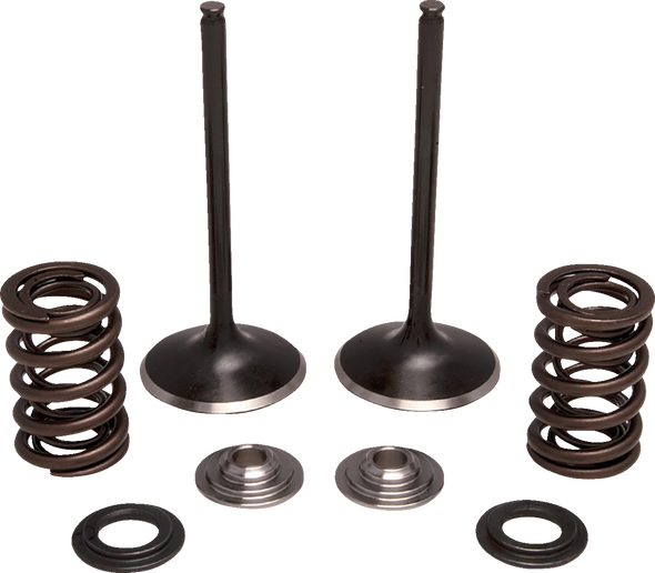 Moose Offroad N/A Valve and Spring Kit - Intake - for Honda