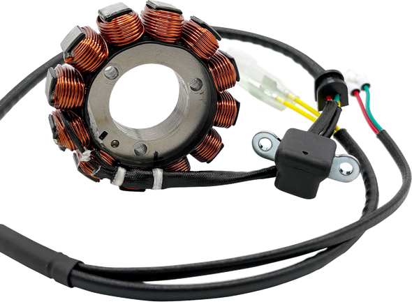 RICK'S Motorsport Electric 21-0101H Stator - Gas Gas/Husqvarna/KTM