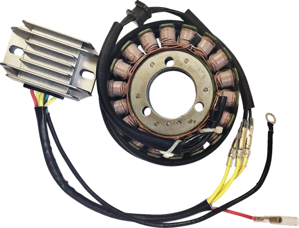 RICK'S Motorsport Electric 99-200H Charging Kit - for Kawasaki