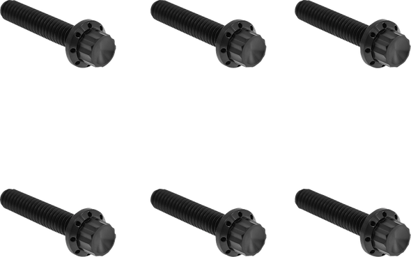 Arlen Ness 300-701 Bolt Kit - Titanium - 12-Point - M8 Gen 2 - Black