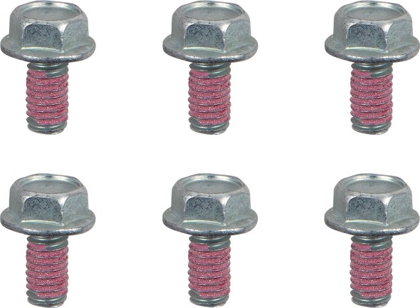 MOTO-MASTER 012017-PU Bolts - Brake Rotor - Torx - M6 x 12 - 6-Pack