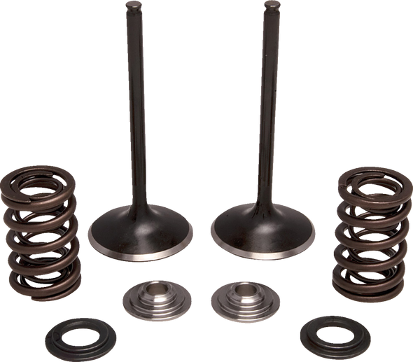 Moose Offroad N/A Valve and Spring Kit - Exhaust - for Honda