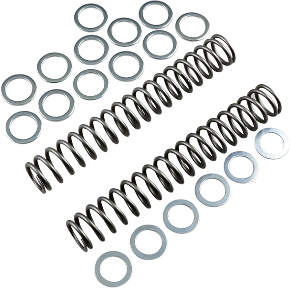 RACE TECH FRSP S3825085 SPRING FORK .85KG