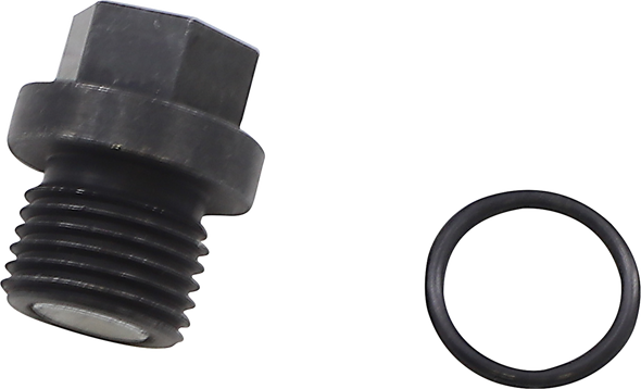 Quad Logic 100-2386 Front Differential Drain Plug and O-Ring