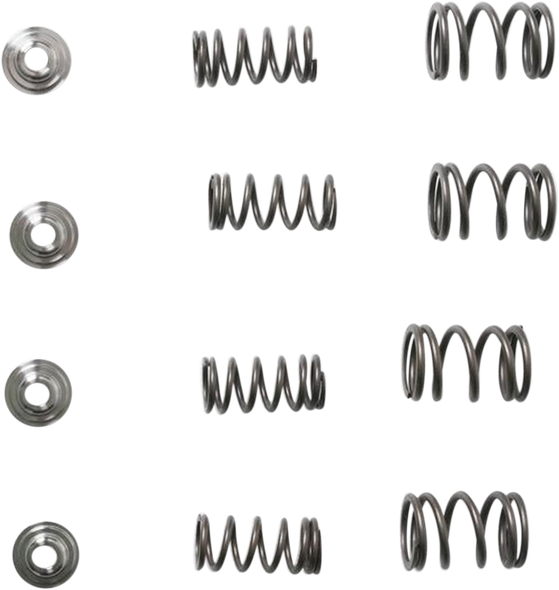 KIBBLEWHITE 30-3111 SPRING KIT TRX400EX