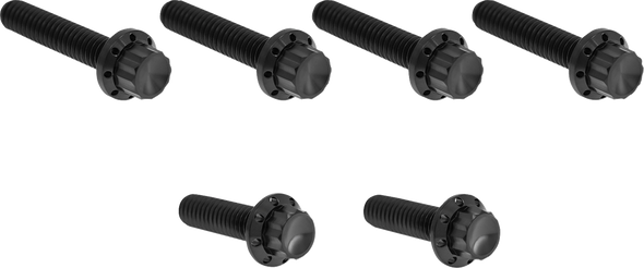 Arlen Ness 300-704 Bolt Kit - Titanium - 12-Point - M8/Twin Cam - Black