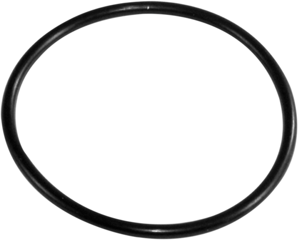 Epi WE300470 Hub Seal - Front Outer