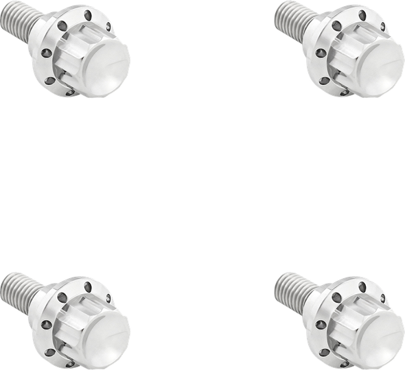 Arlen Ness 300-809 Bolt Kit - Windshield - 12-Point - Titanium - Silver