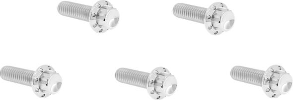 Arlen Ness 300-923 Bolt Kit - Derby Cover - 12-Point - Titanium - Polished