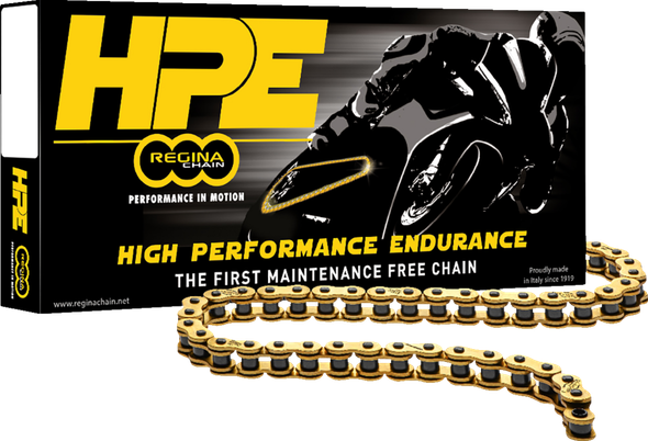 Regina 135HPE/1009 520 Hpe - Drive Chain - 120 Links