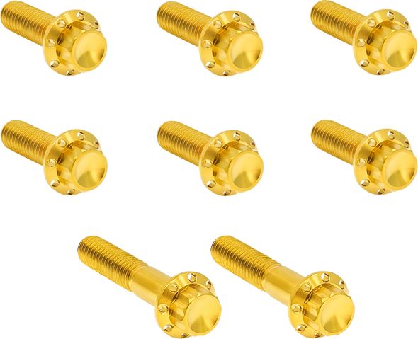 Arlen Ness 300-714 Bolt Kit - Titanium - 12-Point - Twin Cam/6-Speed - Gold