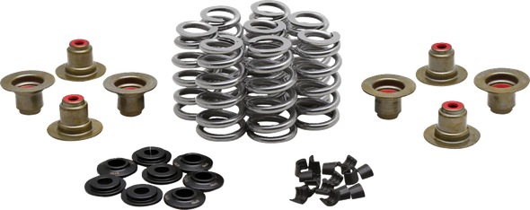 Kibblewhite 20-24400 Beehive Spring Kit - 0.640" Lift - M8 | CVO