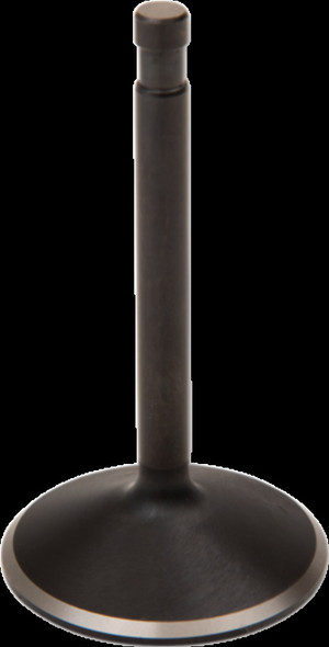 KIBBLEWHITE 20-4196-1 VALVE INT 70-83 XL 2.000"